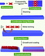 Graphical abstract: Hydrogen bonded co-assembly of aromatic amino acids and bipyridines that serves as a sacrificial template in superstructure formation