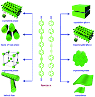Graphical abstract: Supramolecular nanostructures constructed by rod–coil molecular isomers: effect of rod sequences on molecular assembly