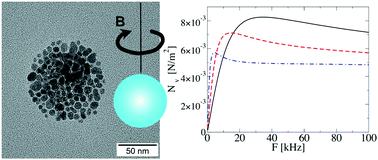 Graphical abstract: Frequency-dependent conversion of the torque of a rotating magnetic field on a ferrofluid confined in a spherical cavity