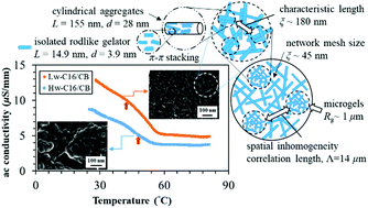 Graphical abstract: PBTTT-C16 sol–gel transition by rod associations and networking