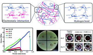 Graphical abstract: High strength and antibacterial polyelectrolyte complex CS/HS hydrogel films for wound healing