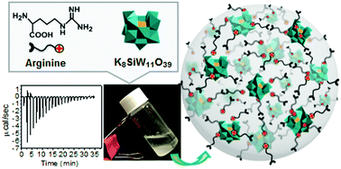 Graphical abstract: Aqueous self-assembly of arginine and K8SiW11O39: fine-tuning the formation of a coacervate intended for sprayable anticorrosive coatings