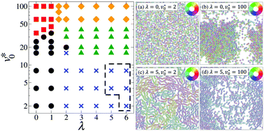 Graphical abstract: Dynamical self-assembly of dipolar active Brownian particles in two dimensions