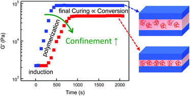 Graphical abstract: Polymerization in soft nanoconfinement of lamellar and reverse hexagonal mesophases