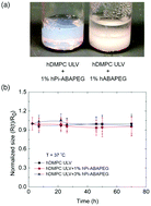 Graphical abstract: Structure and dynamics of lipid membranes interacting with antivirulence end-phosphorylated polyethylene glycol block copolymers