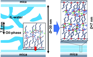 Graphical abstract: Mixing oil and water with ionic liquids: bicontinuous microemulsions under confinement