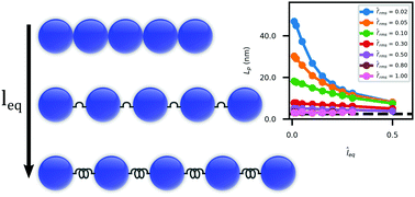 Graphical abstract: The hierarchical emergence of worm-like chain behaviour from globular domain polymer chains