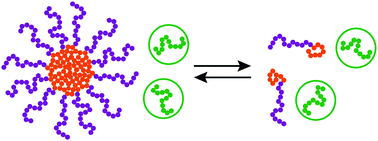 Graphical abstract: (Homo)polymer-mediated colloidal stability of micellar solutions