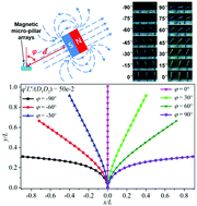 Graphical abstract: Controllable directional deformation of micro-pillars actuated by a magnetic field