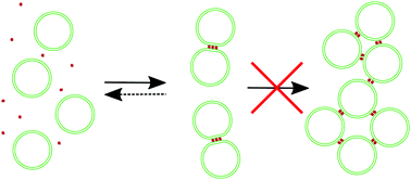 Graphical abstract: Self-limiting aggregation of phospholipid vesicles