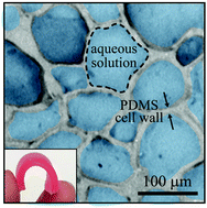 Graphical abstract: PDMS polymerized high internal phase emulsions (polyHIPEs) with closed-cell, aqueous-filled microcavities