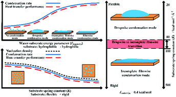 Graphical abstract: Effect of substrate wettability and flexibility on the initial stage of water vapor condensation