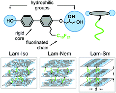 Graphical abstract: Frustration between two- and three-dimensional smectic ordering leads to a biaxial nematic phase