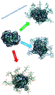 Graphical abstract: Structure–function–dynamics of α-chymotrypsin based conjugates as a function of polymer charge