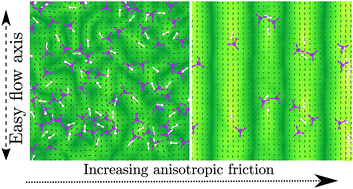 Graphical abstract: Active nematics with anisotropic friction: the decisive role of the flow aligning parameter