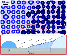 Graphical abstract: How ice bridges the gap