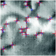 Graphical abstract: End-to-end machine learning for experimental physics: using simulated data to train a neural network for object detection in video microscopy
