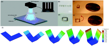 Graphical abstract: Patterned, morphing composites via maskless photo-click lithography