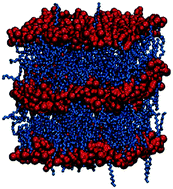 Graphical abstract: Influence of the ion size on the stability of the smectic phase of ionic liquid crystals