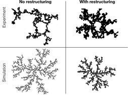 Graphical abstract: Aggregation in viscoelastic emulsion droplet gels with capillarity-driven rearrangements