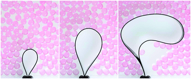 Graphical abstract: Packing transitions in the elastogranular confinement of a slender loop