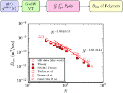 Graphical abstract: On the diffusivity of ring polymers