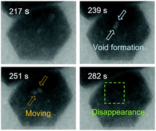 Graphical abstract: High mobility of lattice molecules and defects during the early stage of protein crystallization