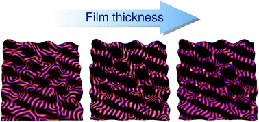 Graphical abstract: Substrate curvature governs texture orientation in thin films of smectic block copolymers