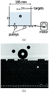 Graphical abstract: A heavy intruder in a locally-shaken granular solid