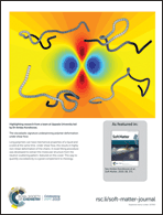 Graphical abstract: Back cover