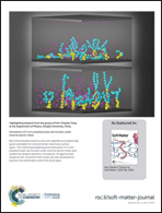 Graphical abstract: Back cover