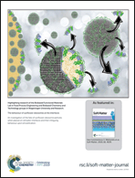 Graphical abstract: Back cover