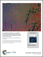 Graphical abstract: Back cover