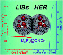 Graphical abstract: Cage-structured MxPy@CNCs (M = Co and Zn) from MOF confined growth in carbon nanocages for superior lithium storage and hydrogen evolution performance