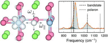 Graphical abstract: Band vs. polaron: vibrational motion and chemical expansion of hydride ions as signatures for the electronic character in oxyhydride barium titanate