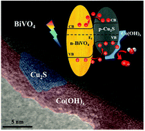 Graphical abstract: Spatial engineering of a Co(OH)x encapsulated p-Cu2S/n-BiVO4 photoanode: simultaneously promoting charge separation and surface reaction kinetics in solar water splitting