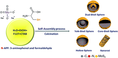 Graphical abstract: Sequential growth of hierarchical N-doped carbon-MoS2 nanocomposites with variable nanostructures