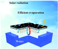 Graphical abstract: Femtosecond laser induced robust Ti foam based evaporator for efficient solar desalination