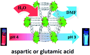 Graphical abstract: pH-Modulated luminescence switching in a Eu-MOF: rapid detection of acidic amino acids