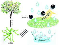 Graphical abstract: Cellulose nanocrystals as anti-oil nanomaterials for separating crude oil from aqueous emulsions and mixtures