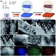 Graphical abstract: The construction of self-supported thorny leaf-like nickel-cobalt bimetal phosphides as efficient bifunctional electrocatalysts for urea electrolysis
