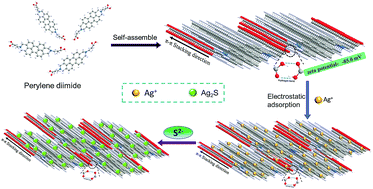 Graphical abstract: Designed synthesis of a p-Ag2S/n-PDI self-assembled supramolecular heterojunction for enhanced full-spectrum photocatalytic activity