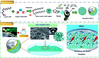 Graphical abstract: One-step synthesis of superhydrophobic and multifunctional nano copper-modified bio-polyurethane for controlled-release fertilizers with “multilayer air shields”: new insight of improvement mechanism