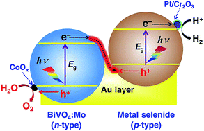 Graphical abstract: Metal selenide photocatalysts for visible-light-driven Z-scheme pure water splitting
