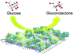 Graphical abstract: An ultrahigh electron-donating quaternary-N-doped reduced graphene oxide@carbon nanotube framework: a covalently coupled catalyst support for enzymatic bioelectrodes