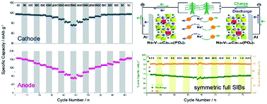 Graphical abstract: Delicate lattice modulation enables superior Na storage performance of Na3V2(PO4)3 as both an anode and cathode material for sodium-ion batteries: understanding the role of calcium substitution for vanadium