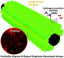 Graphical abstract: Maximizing the utility of single atom electrocatalysts on a 3D graphene nanomesh