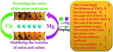 Graphical abstract: Simultaneously tuning cationic and anionic redox in a P2-Na0.67Mn0.75Ni0.25O2 cathode material through synergic Cu/Mg co-doping