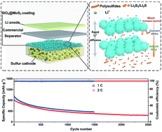 Graphical abstract: SiO2@MoS2 core–shell nanocomposite layers with high lithium ion diffusion as a triple polysulfide shield for high performance lithium–sulfur batteries