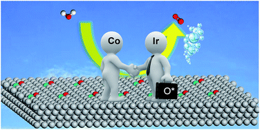 Graphical abstract: Atomic iridium@cobalt nanosheets for dinuclear tandem water oxidation